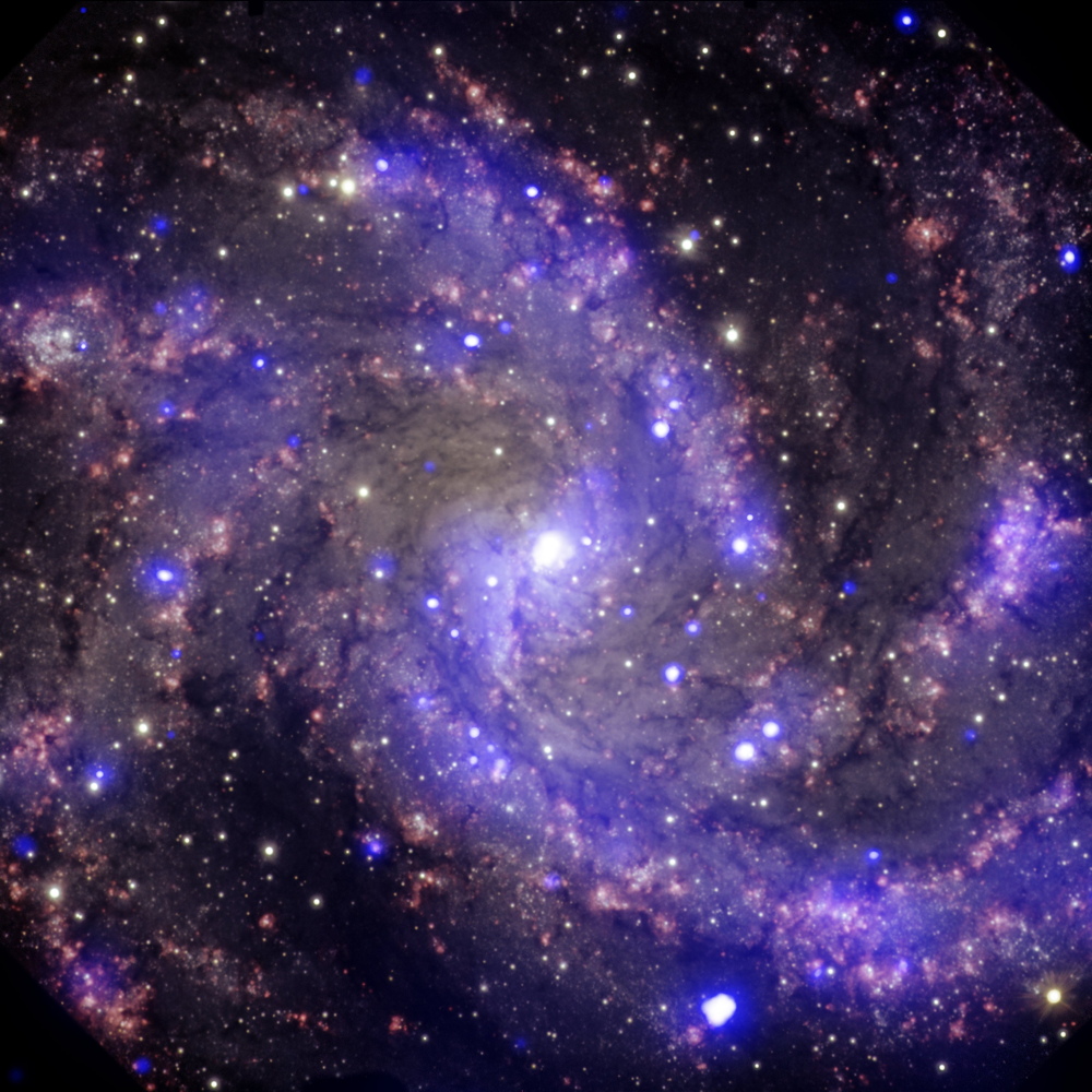 Accused Star Found Innocent of Cosmic Explosion